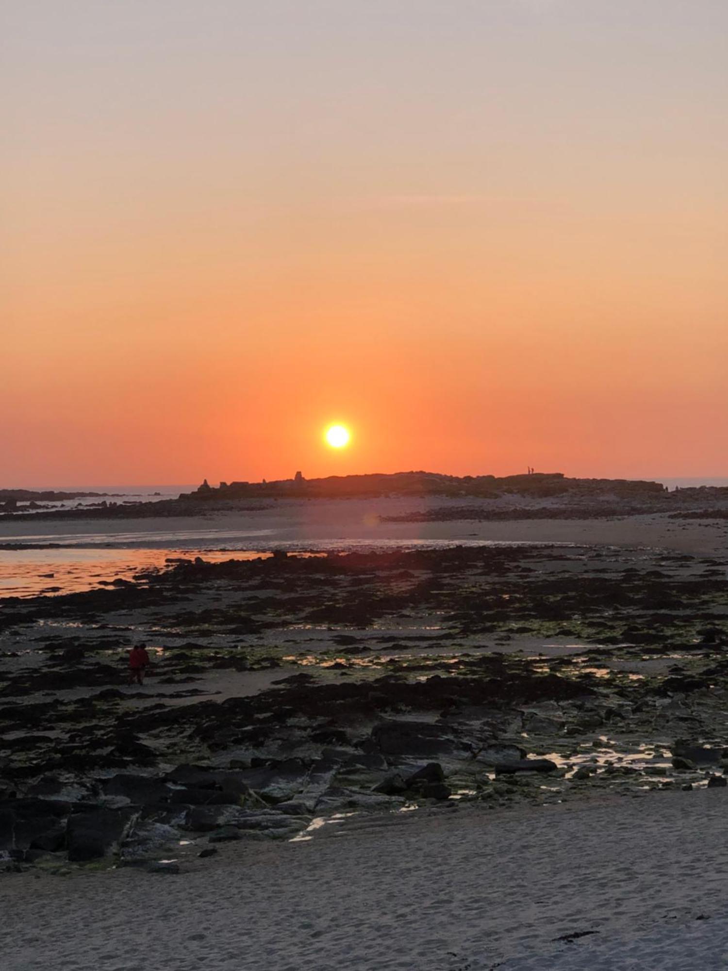 Le Bout'Dl'Ile, Ile Grande Lägenhet Pleumeur-Bodou Exteriör bild
